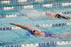 Swimming & Diving vs Babson  Swimming & Diving vs Babson College. - Photo by Keith Nordstrom : Wheaton, Swimming